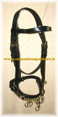 Capezzone da doma cuoio -Selleria Romani tempo libero - Selleriainternet.it