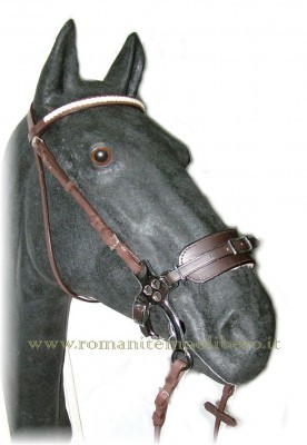 Hackamore aste corte inox -Selleria Romani tempo libero - Selleriainternet.it