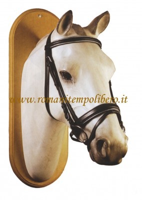 Briglia Gold -Selleria Romani tempo libero - Selleriainternet.it