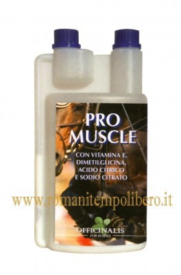 Pro Muscle Officinalis -Selleria Romani tempo libero - Selleriainternet.it
