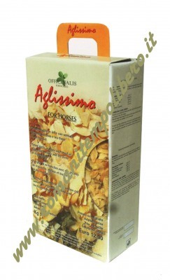 Aglio Officinalis -Selleria Romani tempo libero - Selleriainternet.it