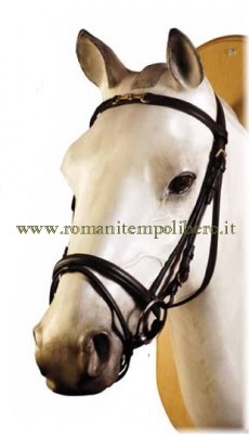 Briglia frontalino con filetto decorativo -Selleria Romani tempo libero - Selleriainternet.it