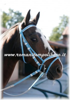 Briglia Daslo in pvc -Selleria Romani tempo libero - Selleriainternet.it