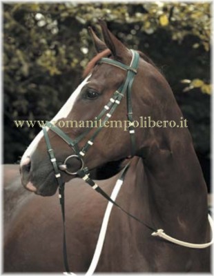 Briglia Lamicell in pvc redini gomma -Selleria Romani tempo libero - Selleriainternet.it