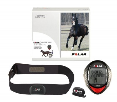 Polar Equine CS600 Trotting -Selleria Romani tempo libero - Selleriainternet.it