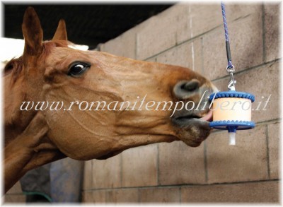 Likit Sport Equine Elettroliti -Selleria Romani tempo libero - Selleriainternet.it