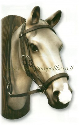 Briglia in Biothane da Horse-Ball -Selleria Romani tempo libero - Selleriainternet.it