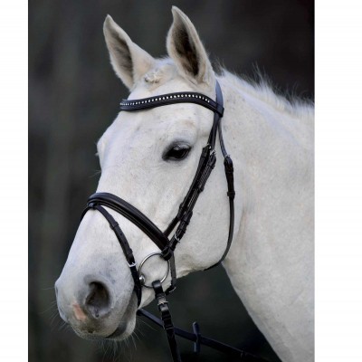 Briglia inglese frontalino curvo con brillantini -Selleria Romani tempo libero - Selleriainternet.it