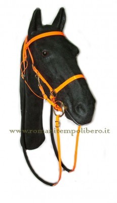Briglia cavezza in Biothane -Selleria Romani tempo libero - Selleriainternet.it