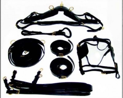 Finimento per calesse -Selleria Romani tempo libero - Selleriainternet.it