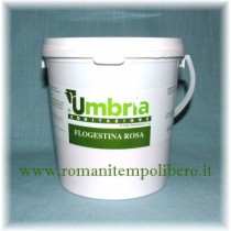 Flogestina rosa -Selleria Romani tempo libero - Selleriainternet.it