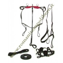 Finimento per calesse Pony Mini -Selleria Romani tempo libero - Selleriainternet.it