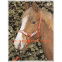 Cavezza Pony Lamicell con lunghina -Selleria Romani tempo libero - Selleriainternet.it