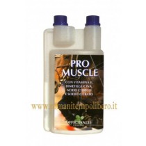 Pro Muscle Officinalis -Selleria Romani tempo libero - Selleriainternet.it