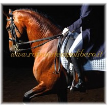 Sella Bates Dressage Isabell Werth Cuoio -Selleria Romani tempo libero - Selleriainternet.it