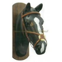 Briglia Equestro Mex