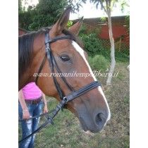 Bitless Bridle 2 -Selleria Romani tempo libero - Selleriainternet.it