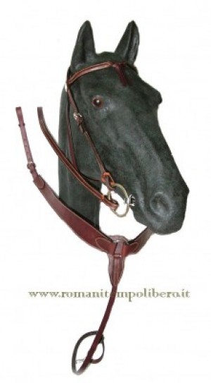 Briglia Western con pettorale -Selleria Romani tempo libero - Selleriainternet.it