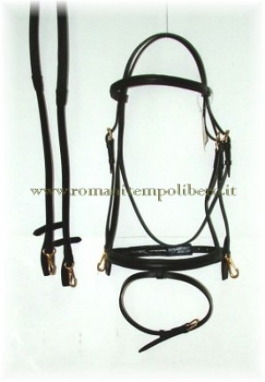 Briglia Inglese Gold moschettoncini -Selleria Romani tempo libero - Selleriainternet.it