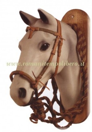 Bosal Set Elite -Selleria Romani tempo libero - Selleriainternet.it