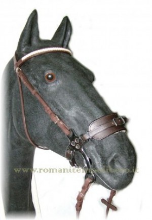 Hackamore aste corte inox -Selleria Romani tempo libero - Selleriainternet.it