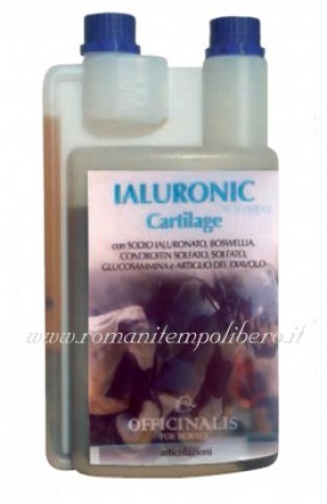 Cartilage Officinalis -Selleria Romani tempo libero - Selleriainternet.it