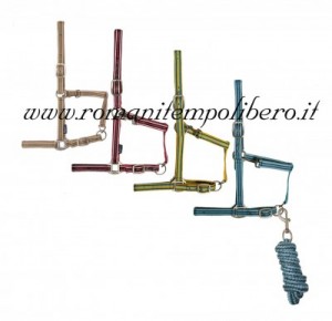 Cavezza Tattini con longhina righe -Selleria Romani tempo libero - Selleriainternet.it