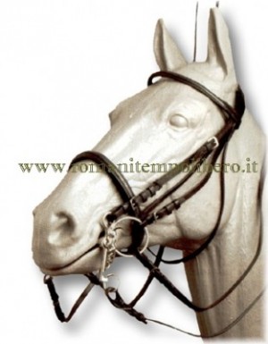 Briglia per morso e filetto -Selleria Romani tempo libero - Selleriainternet.it