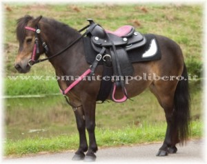 Sella Western Pony Think Pink -Selleria Romani tempo libero - Selleriainternet.it