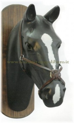Capezzina messicana Equestro -Selleria Romani tempo libero - Selleriainternet.it