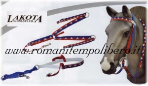 Set Briglia Western stelle e strisce -Selleria Romani tempo libero - Selleriainternet.it