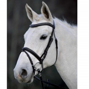 Briglia inglese frontalino curvo con brillantini -Selleria Romani tempo libero - Selleriainternet.it