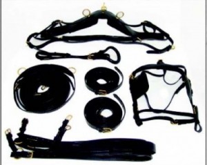 Finimento per calesse -Selleria Romani tempo libero - Selleriainternet.it