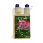 Biotine 5000 Officinalis