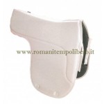 Sottosella Simpanova Dressage