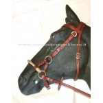 Bitless Bridle