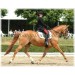 Sella Wintec Dressage Isabell Werth -Selleria Romani tempo libero - Selleriainternet.it