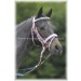 Briglia Pony con Strass -Selleria Romani tempo libero - Selleriainternet.it