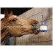 Likit Sport Equine Elettroliti -Selleria Romani tempo libero - Selleriainternet.it