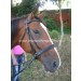 Bitless Bridle 2 -Selleria Romani tempo libero - Selleriainternet.it