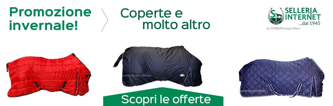 Promozione invernale