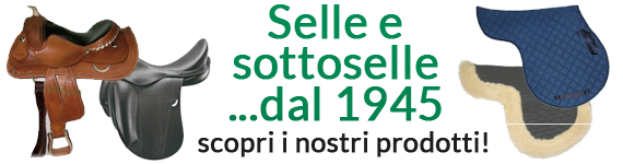 promozione selle cavalli, promozione prodotti equitazione cavallo cavaliere, selleria dal 1945